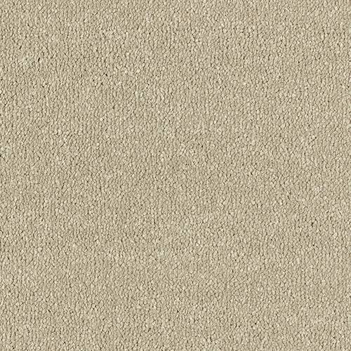 Stainfree Twist | 20 Colour Options