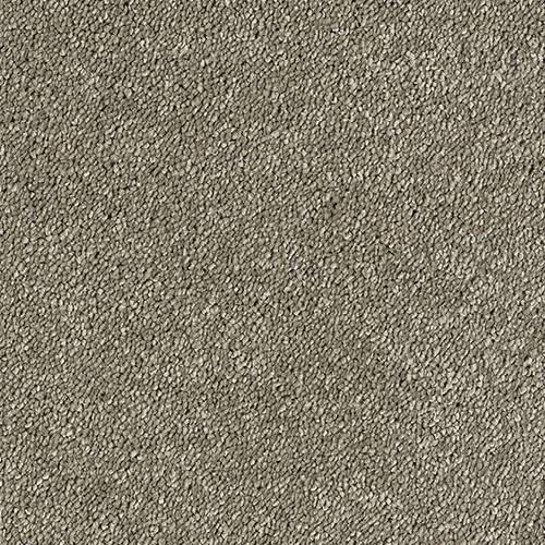 Stainfree Sophisticat | 16 Colour Options