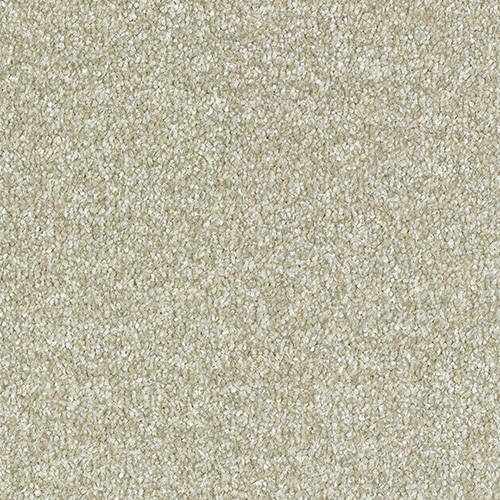 Stainfree Twist | 20 Colour Options