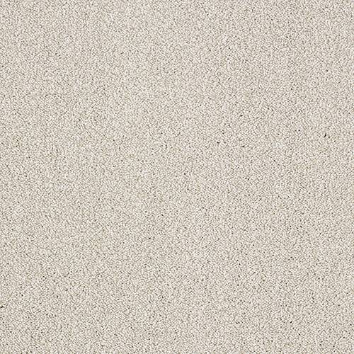 Stainfree Aristocat | 17 Colour Options