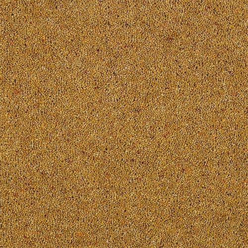 Wilton Royal Charter Berber Deluxe | 20  Colour Options