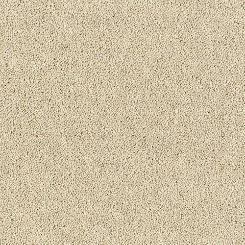 Wilton Royal Charter Deluxe | 22  Colour Options