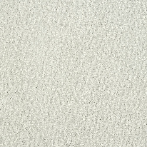 Stainfree Captivation | 17 Colour Options