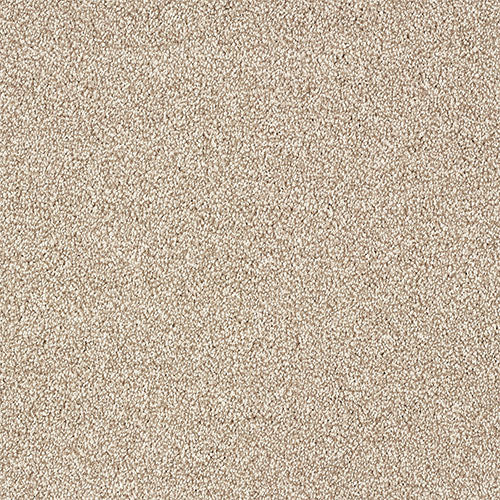 Stainfree Indulgence | 15 Colour Options