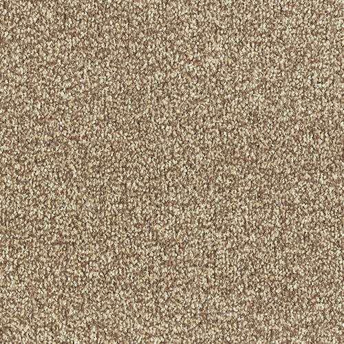 Stainfree Arena | 15 Colours Available