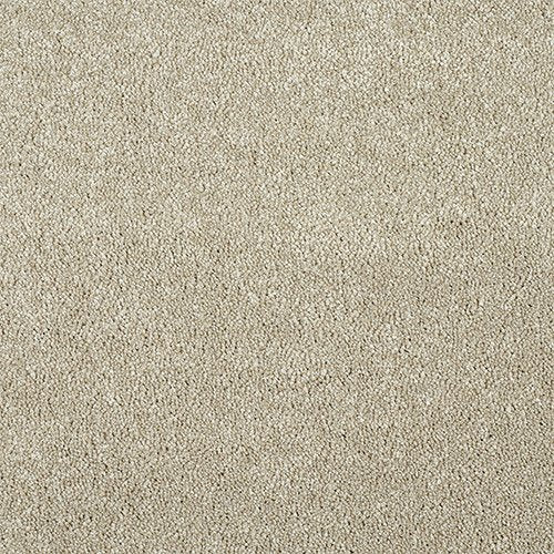 Stainfree Affection | 11 Colour Options