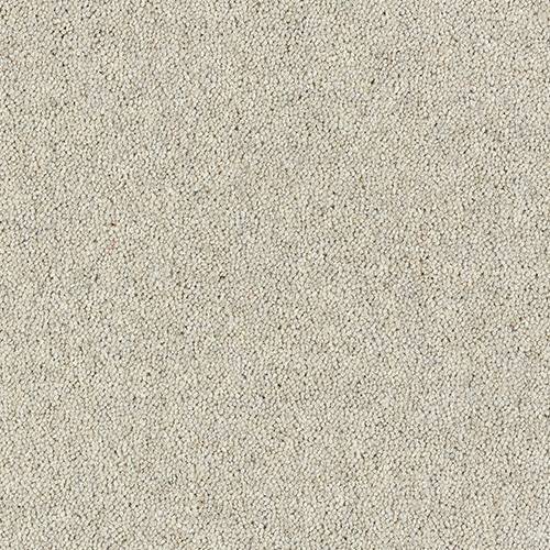 Wilton Royal Charter Deluxe | 22  Colour Options