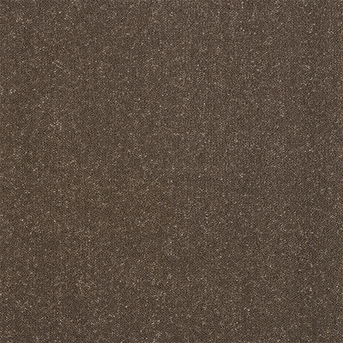 Stainfree Captivation | 17 Colour Options