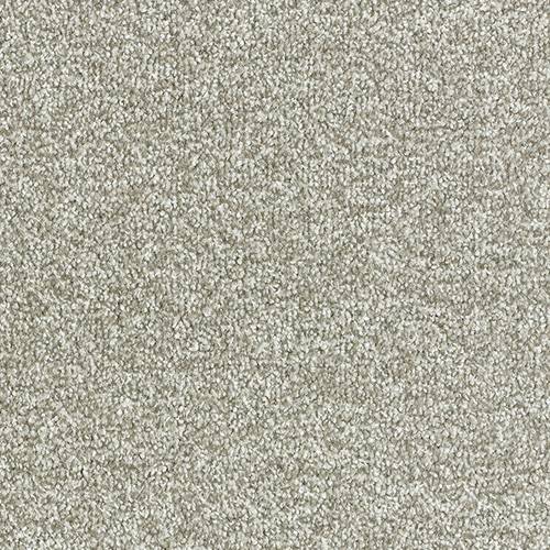 Stainfree Arena | 15 Colours Available