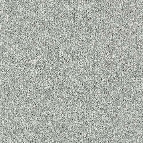 Stainfree Maximus | 16 Colour Options