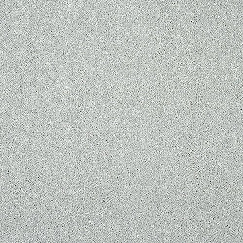 Stainfree Affection | 11 Colour Options