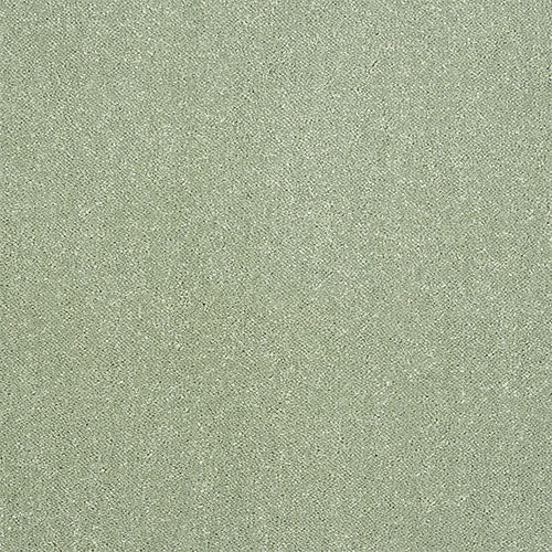 Stainfree Captivation | 17 Colour Options