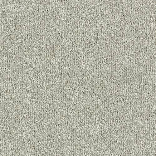 Stainfree Arena | 15 Colours Available