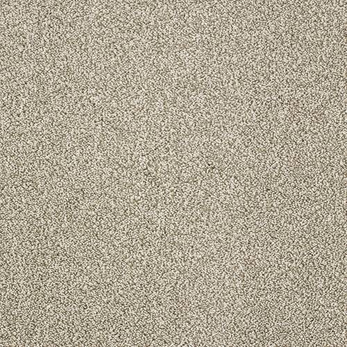 Stainfree Aristocat | 17 Colour Options