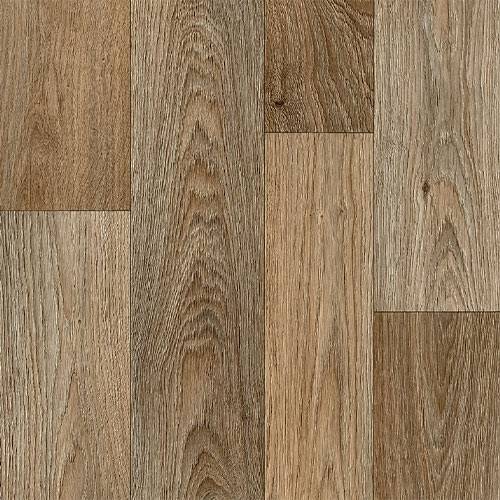 SoftStep Brazil |14 Options Available