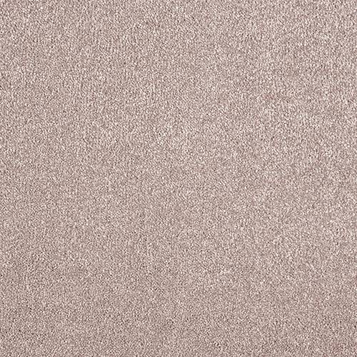 Stainfree Aristocat | 17 Colour Options