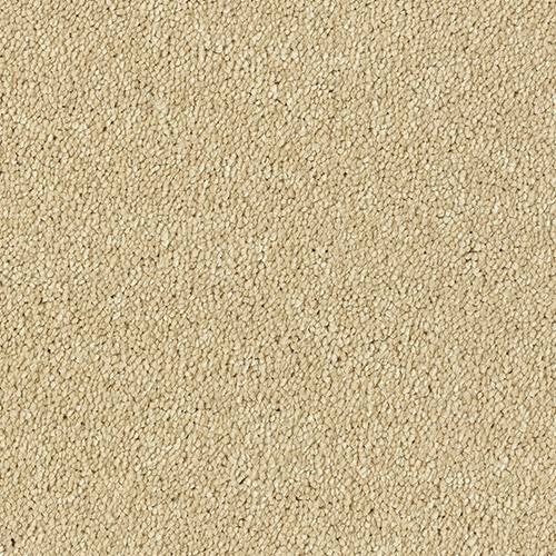 Stainfree Olympus | 12 Colour Options