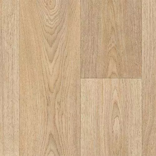 SoftStep Mexico |12 Options Available