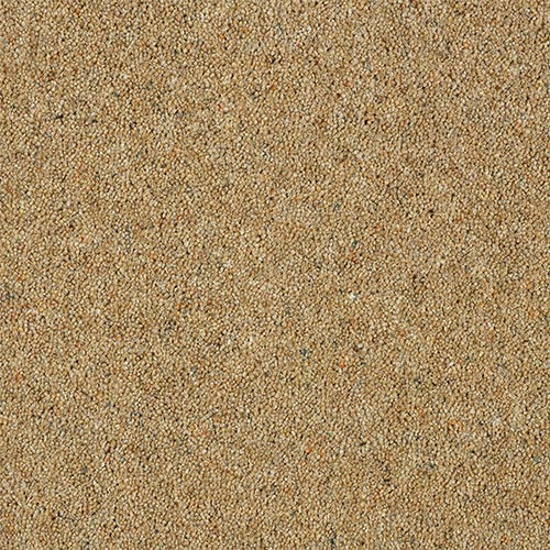Wilton Royal Charter Berber Deluxe | 20  Colour Options