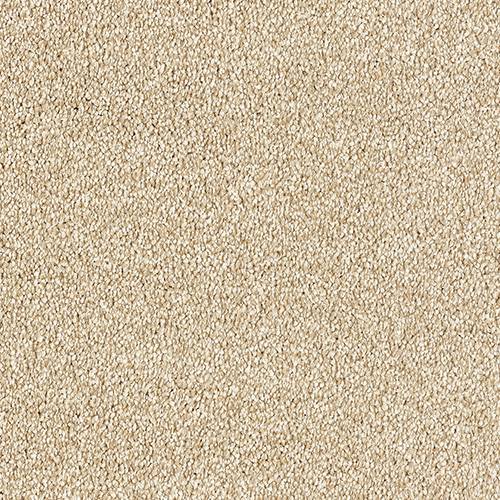 Stainfree Grande | 12 Colour Options