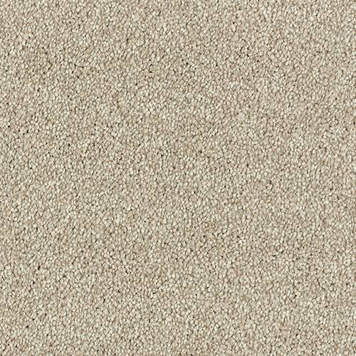 Stainfree Olympus | 12 Colour Options