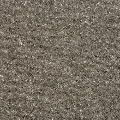 Stainfree Captivation | 17 Colour Options