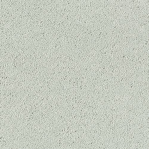 Stainfree Sophisticat | 16 Colour Options