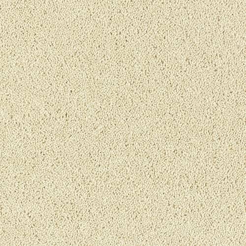 Wilton Royal Charter Deluxe | 22  Colour Options