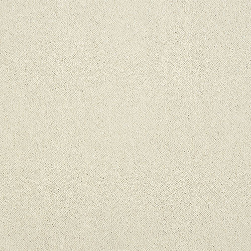 Stainfree Captivation | 17 Colour Options