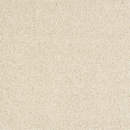 Stainfree Indulgence | 15 Colour Options