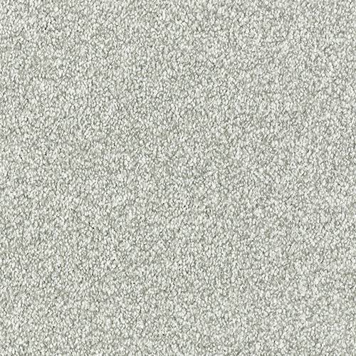 Stainfree Maximus | 16 Colour Options