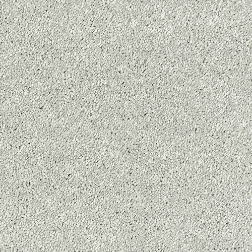 Stainfree Olympus | 12 Colour Options