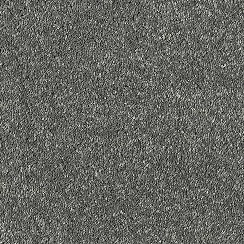 Stainfree Olympus | 12 Colour Options