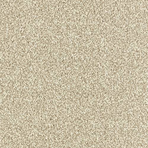 Stainfree Arena | 15 Colours Available