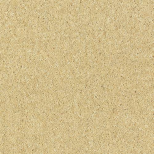 Wilton Royal Charter Deluxe | 22  Colour Options