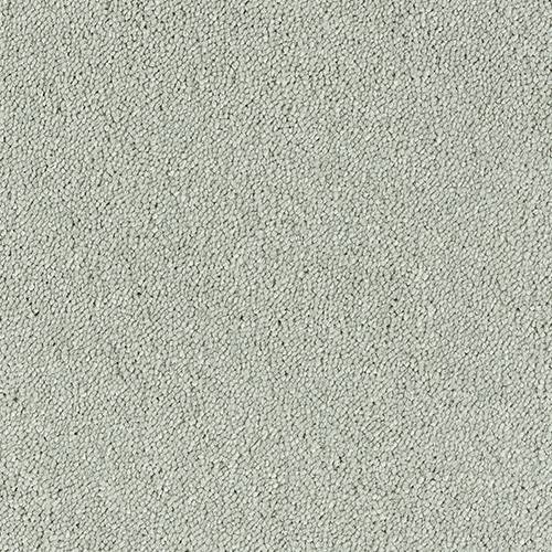 Stainfree Sophisticat | 16 Colour Options