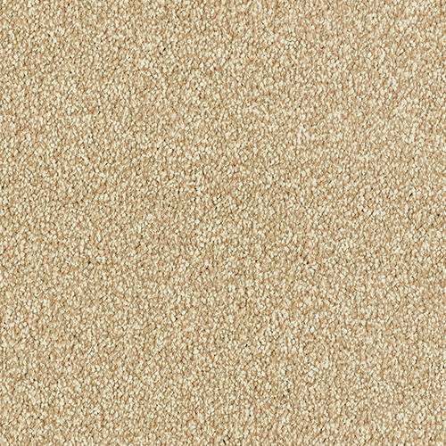 Stainfree Maximus | 16 Colour Options