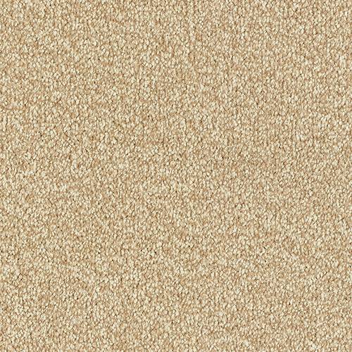 Stainfree Twist | 20 Colour Options