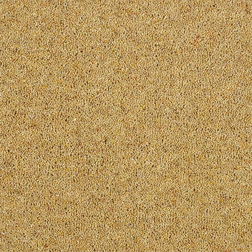 Wilton Royal Charter Berber Deluxe | 20  Colour Options