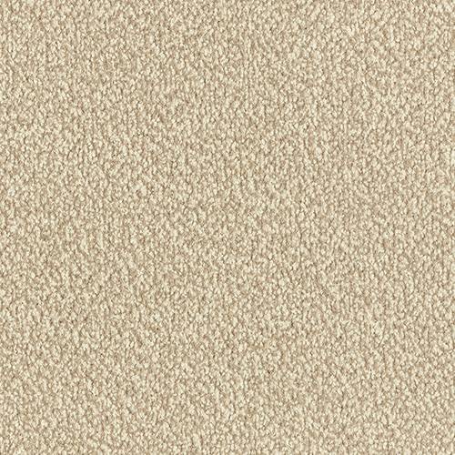 Stainfree Arena | 15 Colours Available