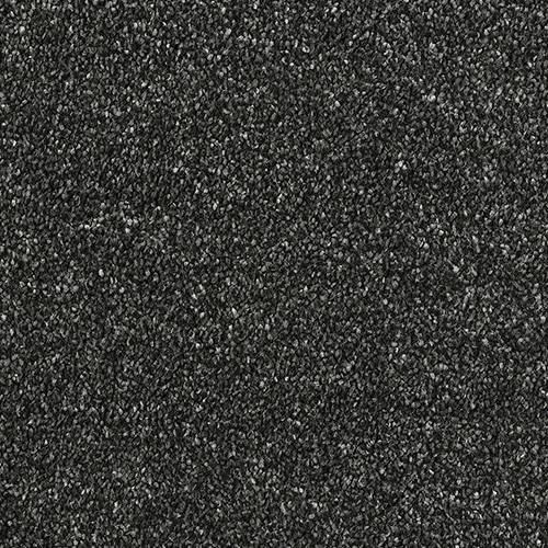 Stainfree Olympus | 12 Colour Options