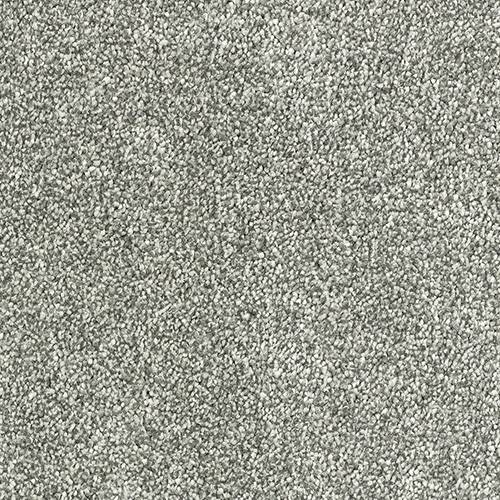 Stainfree Olympus | 12 Colour Options