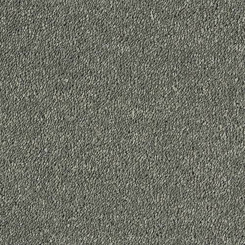 Stainfree Sophisticat | 16 Colour Options