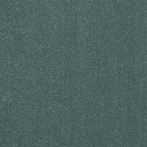 Stainfree Captivation | 17 Colour Options