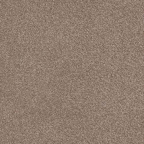 Trident 24 Colours available