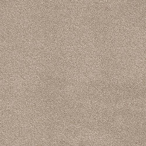 Trident 24 Colours available