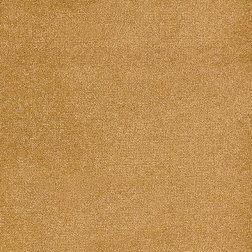 Trident 24 Colours available