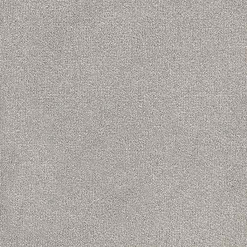 Trident 24 Colours available