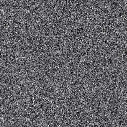 Trident 24 Colours available