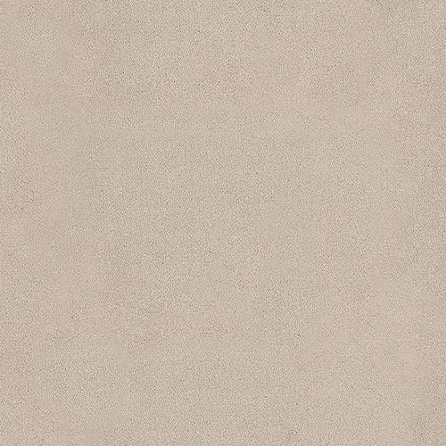 Trident 24 Colours available